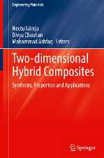 Two-dimensional Hybrid Composites