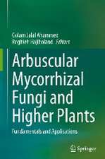 Arbuscular Mycorrhizal Fungi and Higher Plants