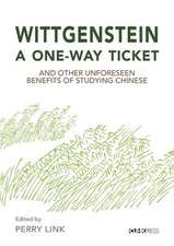 Wittgenstein, a One–Way Ticket, and Other Unforeseen Benefits of Studying Chinese