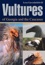 Gavashelishvili, L: Vultures of Georgia and Caucasus