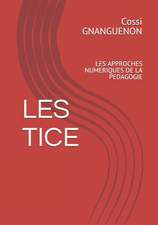 Les Tice: Les Approches Numeriques de la Pedagogie