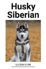 Husky Siberian