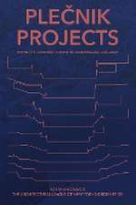 Ple¿nik Projects