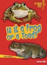 Is It a Frog or a Toad?