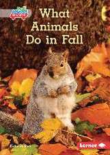 What Animals Do in Fall