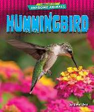 Hummingbird