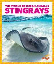 Stingrays