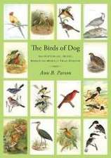 The Birds of Dog