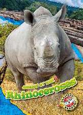 Rhinoceroses