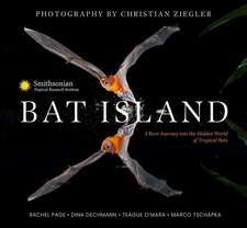 Bat Island