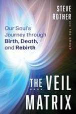 The Veil Matrix: Our Soul's Journey through Birth, Death, and Rebirth