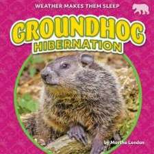 Groundhog Hibernation