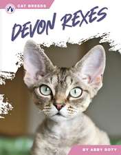 Devon Rexes