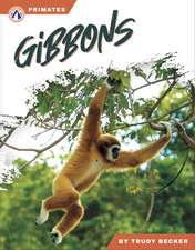 Gibbons