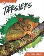 Tarsiers