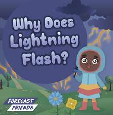Why Does Lightning Flash?