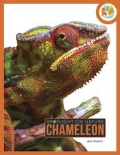 Chameleon