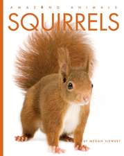 Squirrels