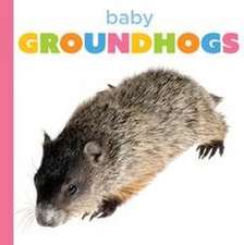 Baby Groundhogs