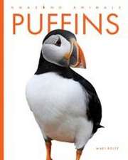 Puffins