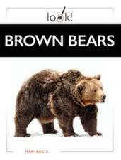 Brown Bears