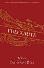 Fulgurite