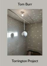 Tom Burr: Torrington Project